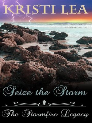 cover image of Seize the Storm